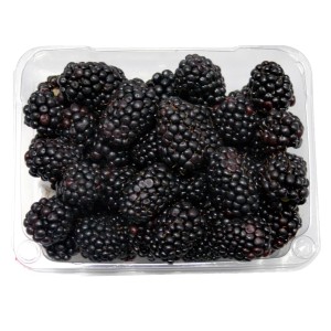 Sweet Karoline Blackberries